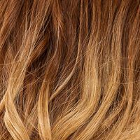 Chestnut/Blond-Ombre